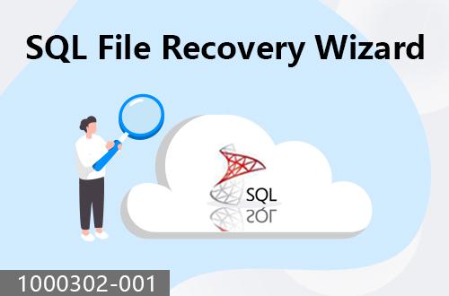 SQL file recovery wizard                               1000302-001