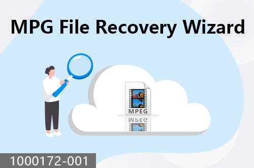 MPG file recovery wizard                               1000172-001