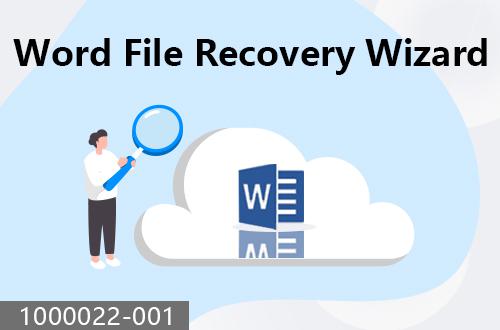 Word file recovery wizard                                1000022-001