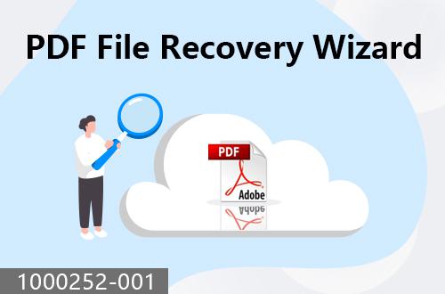 PDF file recovery wizard                               1000252-001