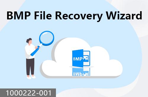 BMP file recovery wizard                               1000222-001