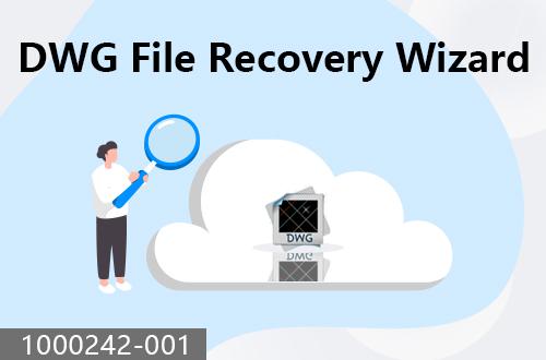 DWG file recovery wizard                               1000242-001