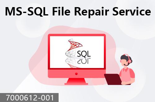 MS-SQL file repair service                                7000612-001