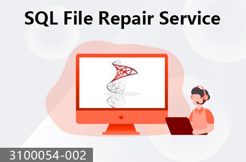 SQL file repair service