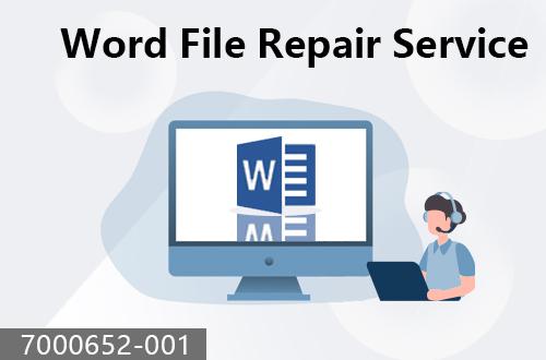 Word file repair service                               7000652-001