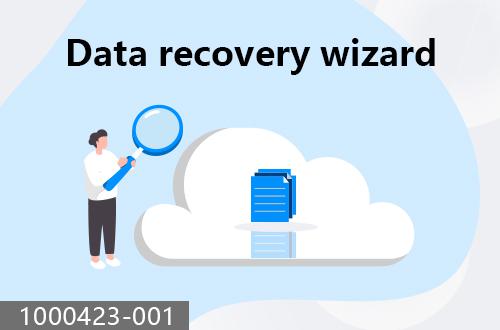 Data recovery wizard                                1000423-001